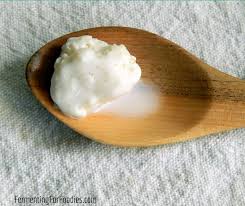 homemade milk kefir probiotic and