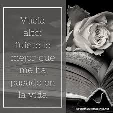 Frases para abuelos fallecidos para tatuar. Dedicatorias Y Frases Para Abuelos Fallecidos Informacion Imagenes