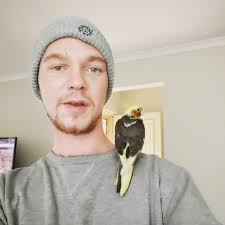 What breed and sex is this duck?