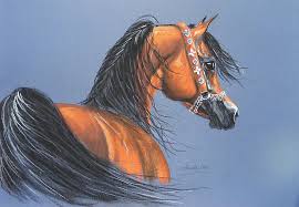 Nayiel Al Khaled Sylwia Ilenda Art Photography Horse Artwork Horse Art Horse Painting