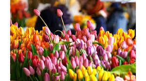 Creating and delivering market fresh bouquets. Deliveries Available From Pike Place Market Vendors King5 Com