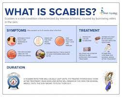 Scabies Symptoms Causes Treatment And Diagnosis Findatopdoc