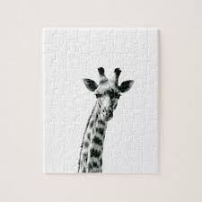 Black And White Puzzle Images Giraffe Black And White Jigsaw Puzzle Zazzle Com White Elephant Gifts Funny White Elephant Gifts Jigsaw Puzzles