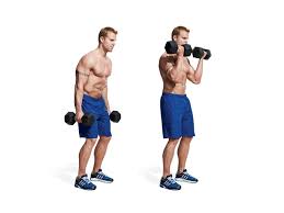 arm workouts the 30 best arm exercises
