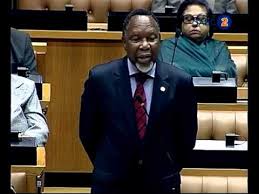 Image result for mdluli clan photos