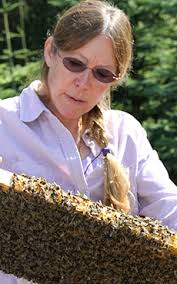 Friendship between researcher, teenager benefits honey bees