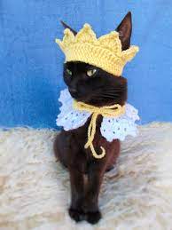 Crown And Collar For Cat Princess Cat Outfit Headpiece For Kitten Kitty Collar Cat Accessories Gift For Cat Lover In 2021 Cat Accessories Cat Lovers Cat Clothes
