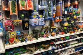 Thrapston pet shop for healthier pets. Irish Rossette Pet Store Cattery Kennels Dublin Pet Shop