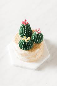 They are white in color about 3 inches (8cm) in diameter. Cactus Mini Cakes Whisk Wander