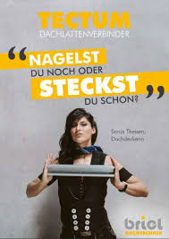 Briel Tectum Dach Halte Durch Verzinktes Stahlblech