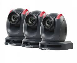 Image result for tbn:C3lu_vUNPC2tpM::gallery.7lm.com/data/media/100/bigbigcat.jpg