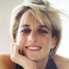 Todd Libman (@todioo)