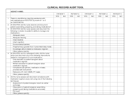 1 Chart Audit Tool Template Medical Chart Audit Tool