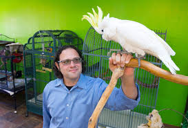 This New Parrot Cafe Will Make You Want To Adopt A Bird Rehoming African Grey Parrot Cockatoo
