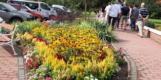 Product was successfully added to your shopping cart. Visszaternek E A Magyar Egynyari Fajtak Viragos Hirek