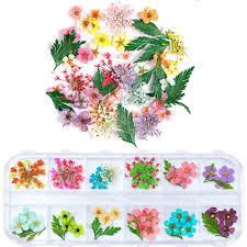 How to dry flowers in a microwave: Amazon Com 1 Box Dried Flowers For Nail Art Unime 16 Colors Dry Flowers Mini Real Natural Flowers Nail Art Supplies 3d Applique Nail Decoration Sticker For Tips Manicure Decor Mixed Gypsophila Flowers