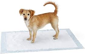Последние твиты от five star puppies (@fivestarpuppies). Amazon Com Amazon Basics Dog And Puppy Pads Leak Proof 5 Layer Pee Pads With Quick Dry Surface For Potty Training X Large 28 X 34 Inches Pack Of 40 Pet Supplies