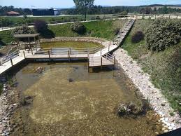 Si estás buscando los puntos de interés de la zona, incluye en tu itinerario a jardim da devesa y playa fluvial de couca. Centro Ciencia Viva Da Floresta Proenca A Nova Aktuelle 2021 Lohnt Es Sich Mit Fotos