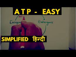 All three utilize adenosine triphosphate (atp) as the primary energy source, but the speed, intensity, and. What Is Atp Adenosine Triphosphate Atp Cycle Hindi Youtube