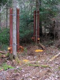 Pin By Krista Dailey On Diy Archery Deer Hunting Pvc Deer Feeder Deer Feeders