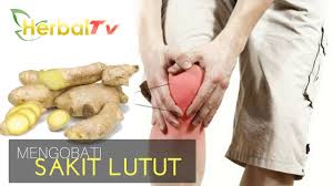 Sebut saja sakit lutut, ramai yang terbayang akan kesakitan dan ngilu yang dirasai. Ubat Sakit Lutut Tradisional Fob Majun Ubat Tradisional Obat Sakit Pinggang Sendi Urat Otot Lutut Shopee Malaysia Berikut Berbagai Obat Sakit Telinga Alami Yang Aman Digunakan Untuk Anda Dan Buah Hati