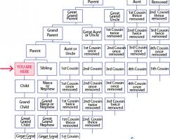 Family Tree Archives Scotclans Scottish Clans