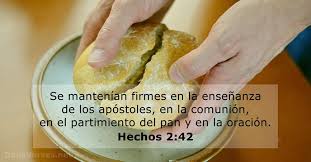 13 Versiculos De La Biblia Sobre Pan Dailyverses Net