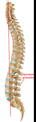 See full list on mayoclinic.org Stop Compressing The Bones Of The Lower Back
