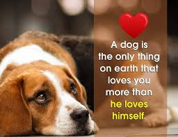 Then there is the food. Sad Dog Quotes We Need Fun