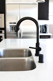 black kitchen faucets, kitchen sink