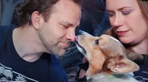 Omar the Dog Loved by Critical Role Fans