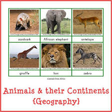 Montessori Animals And Their Continents Geography Animals Geography Activities Continents Activities