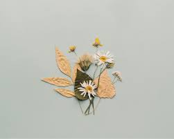 V flower v wax paper v thin towel (like a dish towel) v clothes iron v ironing board or flat heat resistant surface. How To Press Flowers For Your Arts And Crafts Projects Diy Projects