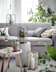 Glaslaternen Lassen Sich Perfekt Fur Sukkulenten Und Kakteen Verwenden Haus Deko Glas Laternen Dekor