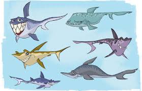 Shark Pg Jpg 1600 1035 Dessin Anime Dessin Animaux