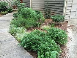 From the high mountain ridges of north georgia to the flatwoods and swamps of south georgia, georgia's. Native Plant Community Design New Urban Forestry