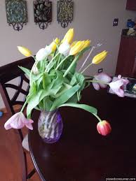 Check spelling or type a new query. Avasflowers Reviews Flowers Shouldn T Bring Disappointment My Husband Ordered A Bouquet From Them Of 20 Tu Wilted Flowers Tulips Arrangement Avas Flowers
