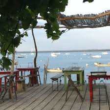 Https S Media Cache Ak0 Pinimg Com 736x 27 1f Ba 271fbaed08c49410d2c003afcd17c083 Jpg Arcachon Bassin D Arcachon Paysage France
