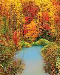 1500 piece jigsaw puzzles for adults. Autumn Reflection 1500 Piece Jigsaw Puzzle Autumn Scenery 1500 Piece Jigsaw Puzzles Springbok Puzzles