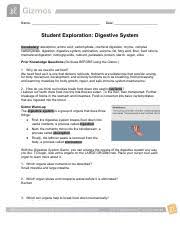 ● build a system with a mouth , salivary gland. Pdf 1 Pdf Digestive System Answer Key Vocabulary Absorption Amino Acid Carbohydrate Chemical Digestion Chyme Complex Carbohydrate Digestion Course Hero