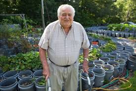 Is it safe to grow vegetables in 5 gallon buckets? Bucket Crops Mississippi Man Takes Container Gardening To Another Level