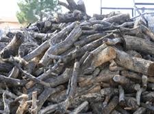 Free firewood vinton in el paso, free pecan and pear firewood in el paso, free firewood and decorative stumps in el paso, firewood from mondell pine tree in el paso, salvage stuff needs to go in las cruces. Las Cruces Tree Service Tree Pruning And Tree Removal Dona Ana County Tree Care Meetlascruces Com