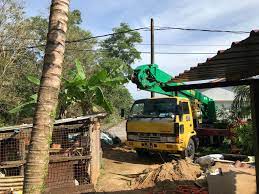 Anda ada nak tebang pokok area kuantan? Perkhidmatan Tebang Pokok Kuantan Laman Rumput