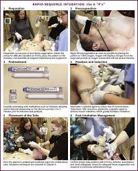 Image result for Paralytic Agent