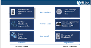 Salesforce Administrator Vs Developer What Is The Highest Paying Jobs In Salesforce