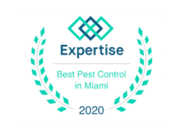 Pest control software helps exterminators collect and analyze pest data and recommend appropriate. Pest Control Services Hollywood Termite Control Florida Crush Bugs