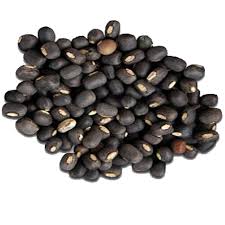 Jika tanah belum pernah digunakan untuk menanam kacang hijau sebelumnya, maka benih kacang hijau perlu diinokulasi terlebih dahulu, tujuannya adalah agar benih dapat beradaptasi dengan tanah. Black Matpe Kacang Hijau Hitam Myxo Company