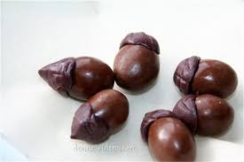 Image result for chocolate squirrel