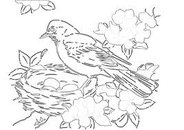 Purple martin bird house plans. Robin Birds Nest Coloring Pages Print Color Craft Coloring Library