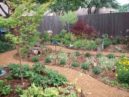 Plano Frisco Prosper Allen And Mckinney Tx Backyard Landscaping Farmhouse Landscaping Landscape Design